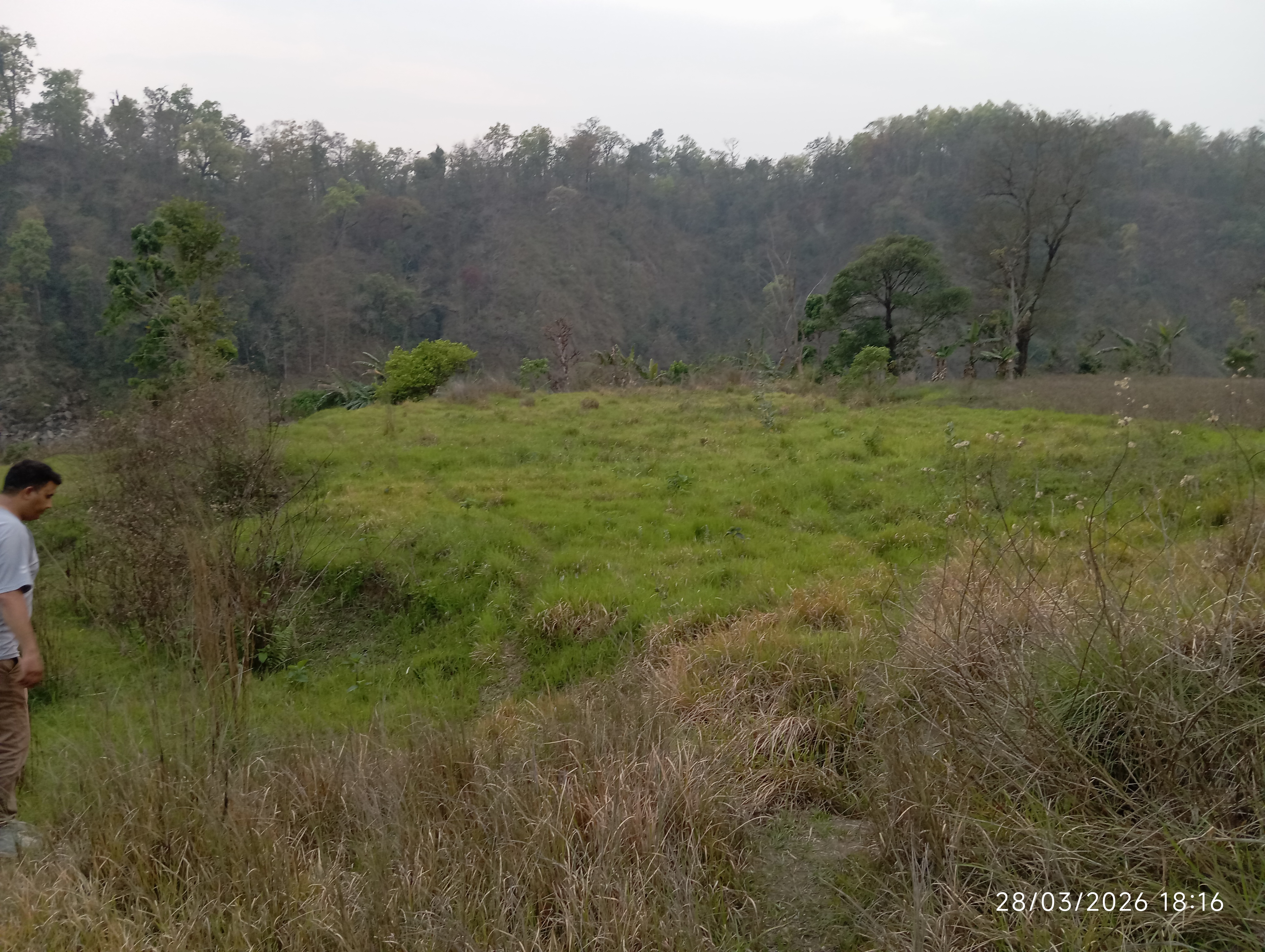 रिठेपानी बंगुर फार्म नजिकै २०*४० को घडेरी बिक्रीमा